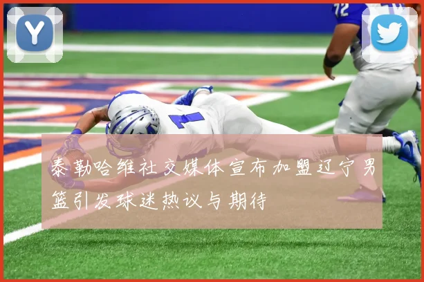 泰勒哈维社交媒体宣布加盟辽宁男篮引发球迷热议与期待